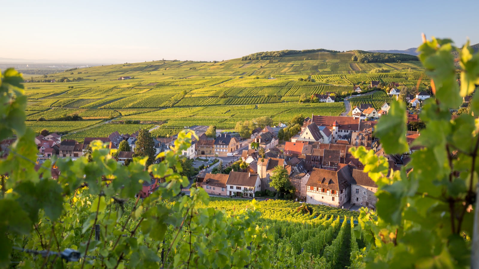 route des vins 1 - Nos circuits touristiques : la route des vins d'Alsace
