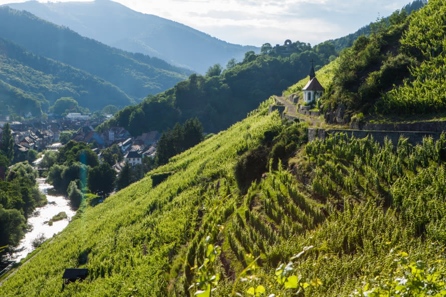 route des vins alsace - Nos circuits touristiques : la route des vins d'Alsace